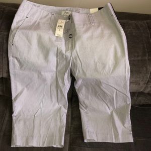 Ann Taylor Loft Marisa Cropped Pant